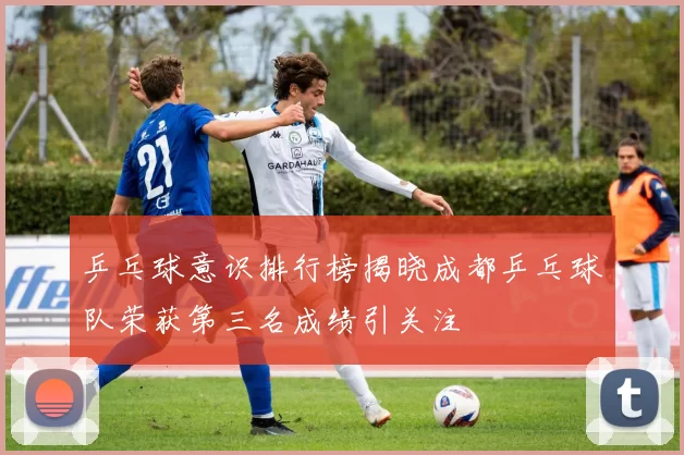 乒乓球意识排行榜揭晓成都乒乓球队荣获第三名成绩引关注