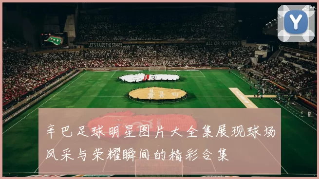 辛巴足球明星图片大全集展现球场风采与荣耀瞬间的精彩合集