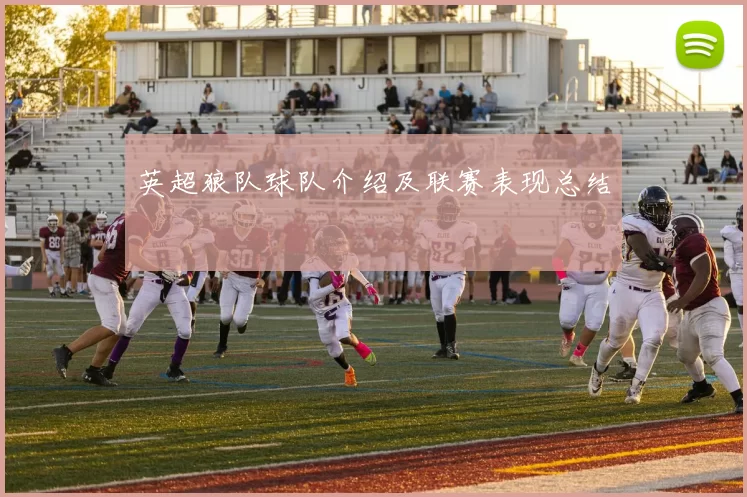 英超狼队球队介绍及联赛表现总结