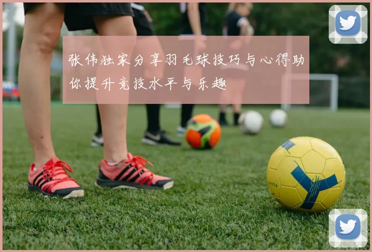 张伟独家分享羽毛球技巧与心得助你提升竞技水平与乐趣