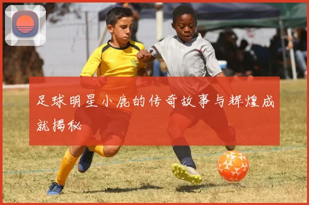 足球明星小鹿的传奇故事与辉煌成就揭秘