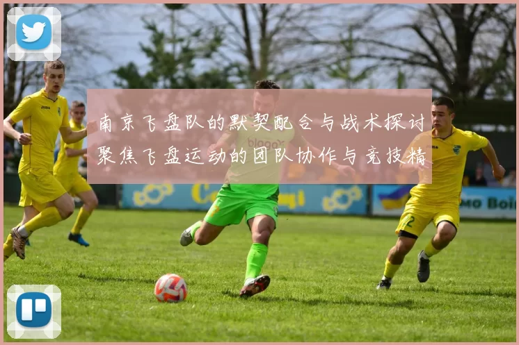 南京飞盘队的默契配合与战术探讨聚焦飞盘运动的团队协作与竞技精神