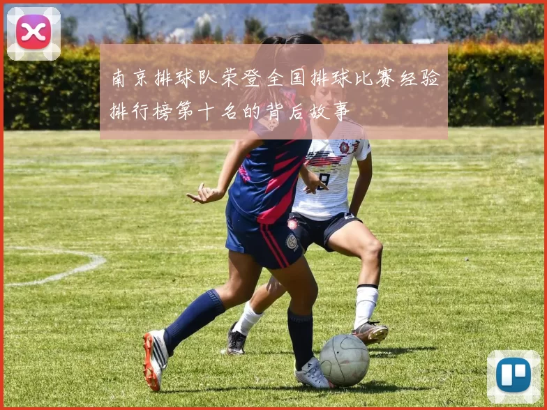 南京排球队荣登全国排球比赛经验排行榜第十名的背后故事