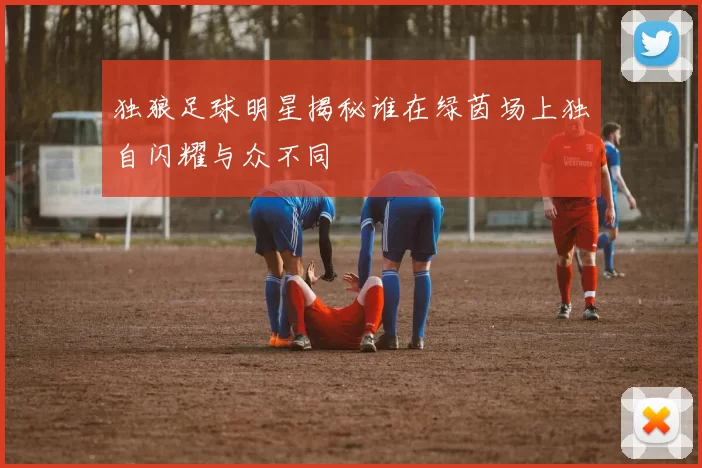 独狼足球明星揭秘谁在绿茵场上独自闪耀与众不同