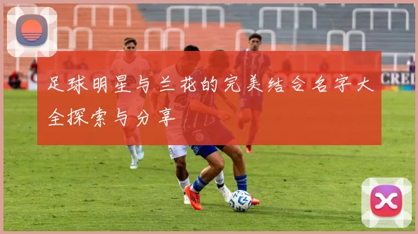 足球明星与兰花的完美结合名字大全探索与分享