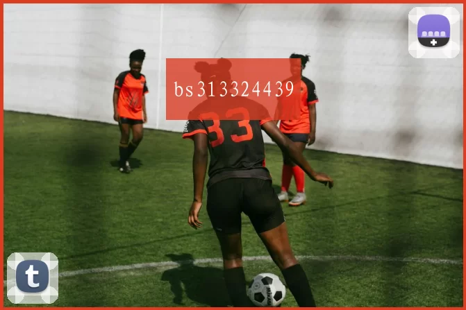 bs313324439