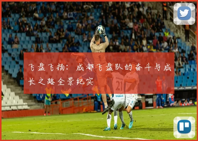 飞盘飞扬：成都飞盘队的奋斗与成长之路全景纪实