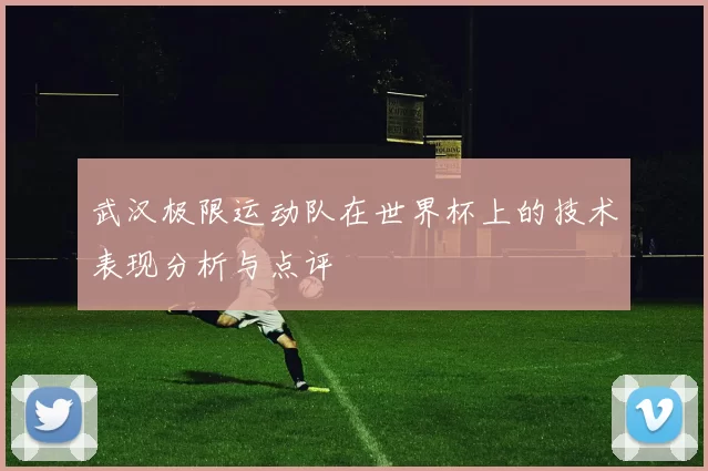 武汉极限运动队在世界杯上的技术表现分析与点评