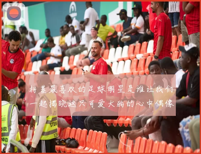 柯基最喜欢的足球明星是谁让我们一起揭晓这只可爱犬狗的心中偶像