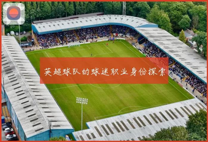 英超球队的球迷职业身份探索