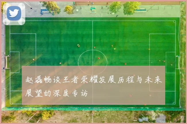 赵磊畅谈王者荣耀发展历程与未来展望的深度专访