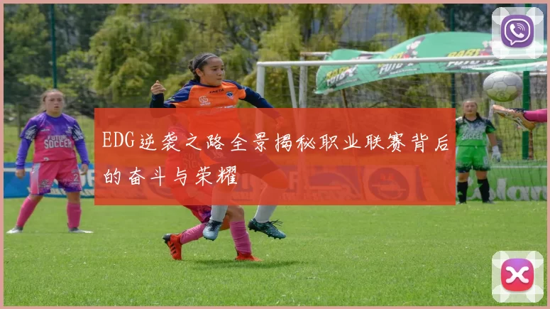 EDG逆袭之路全景揭秘职业联赛背后的奋斗与荣耀