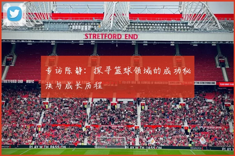 专访陈静：探寻篮球领域的成功秘诀与成长历程