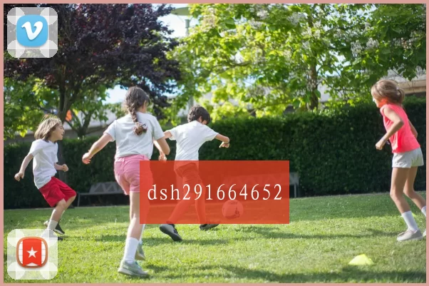 dsh291664652