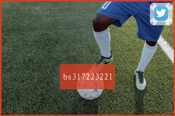 bs317223221