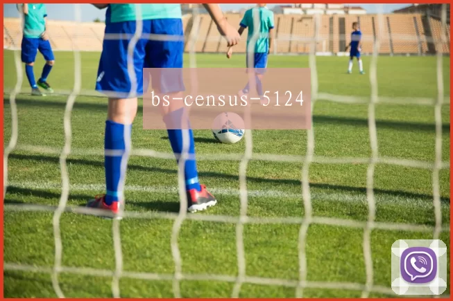 bs-census-5124