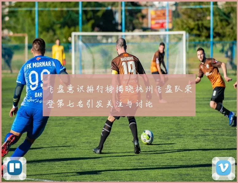 飞盘意识排行榜揭晓杭州飞盘队荣登第七名引发关注与讨论