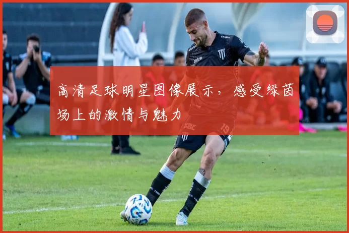 高清足球明星图像展示，感受绿茵场上的激情与魅力