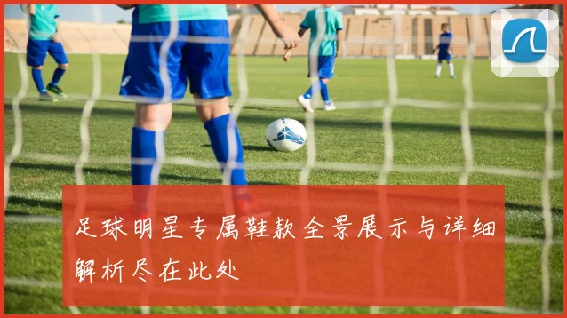 足球明星专属鞋款全景展示与详细解析尽在此处