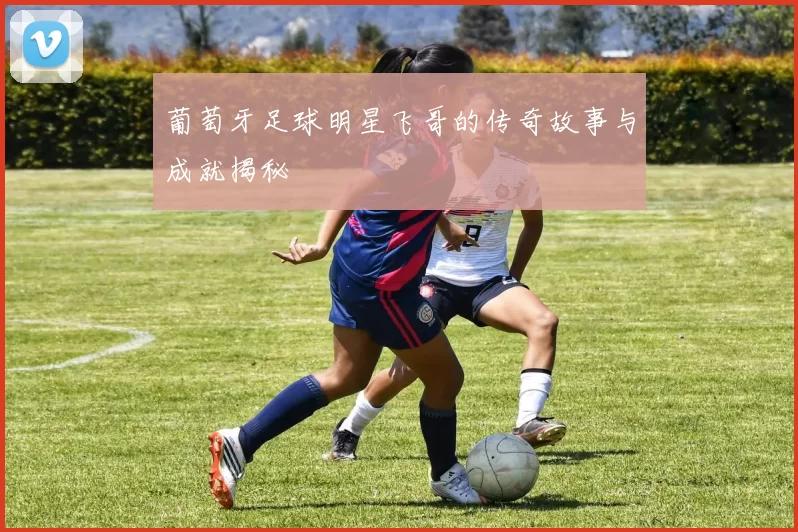 葡萄牙足球明星飞哥的传奇故事与成就揭秘