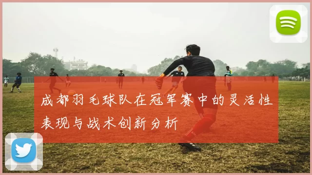 成都羽毛球队在冠军赛中的灵活性表现与战术创新分析