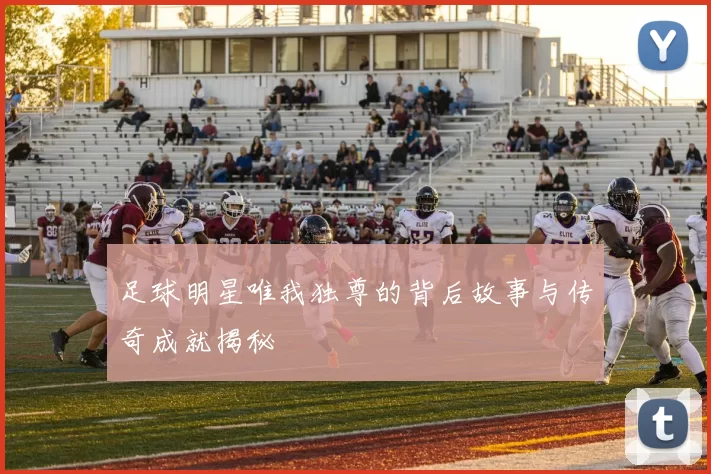 足球明星唯我独尊的背后故事与传奇成就揭秘
