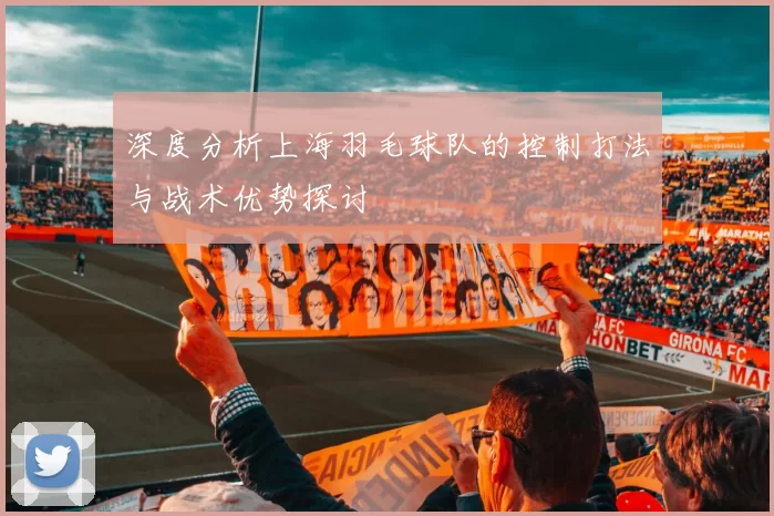 深度分析上海羽毛球队的控制打法与战术优势探讨