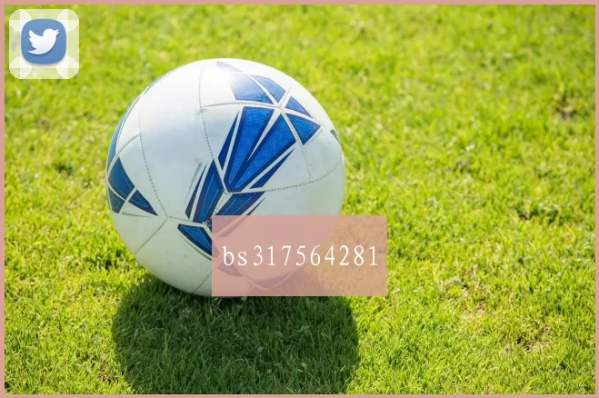 bs317564281