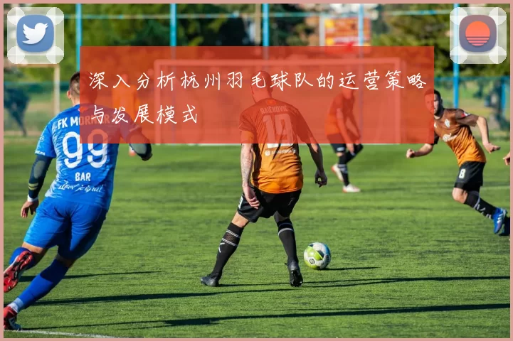 深入分析杭州羽毛球队的运营策略与发展模式