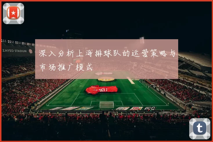 深入分析上海排球队的运营策略与市场推广模式