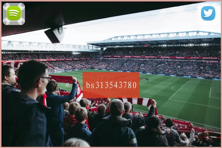 bs313543780