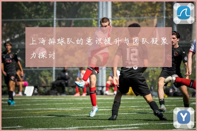 上海排球队的意识提升与团队凝聚力探讨