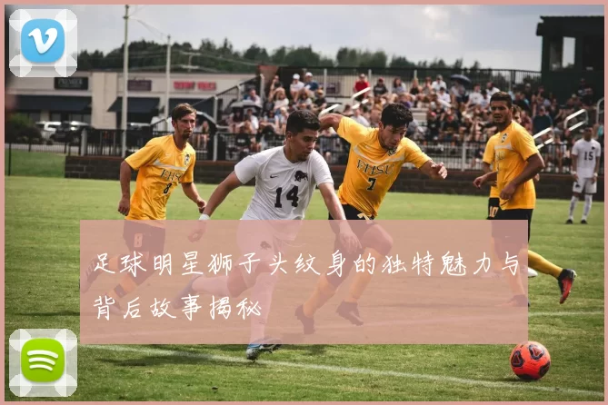 足球明星狮子头纹身的独特魅力与背后故事揭秘
