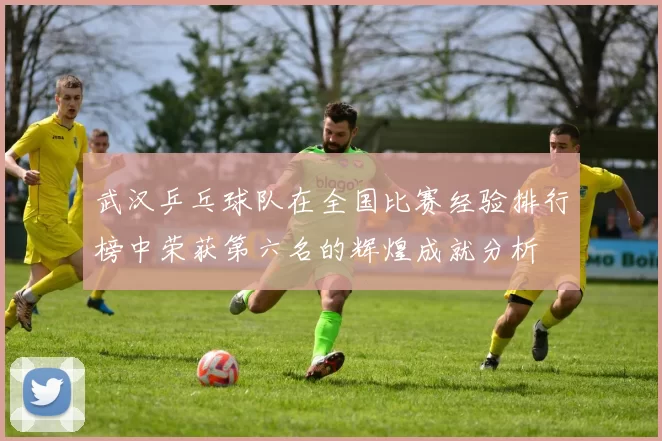 武汉乒乓球队在全国比赛经验排行榜中荣获第六名的辉煌成就分析