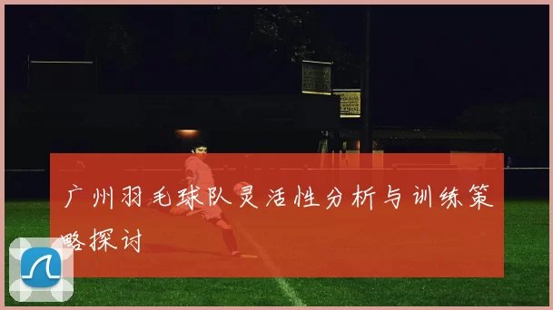 广州羽毛球队灵活性分析与训练策略探讨