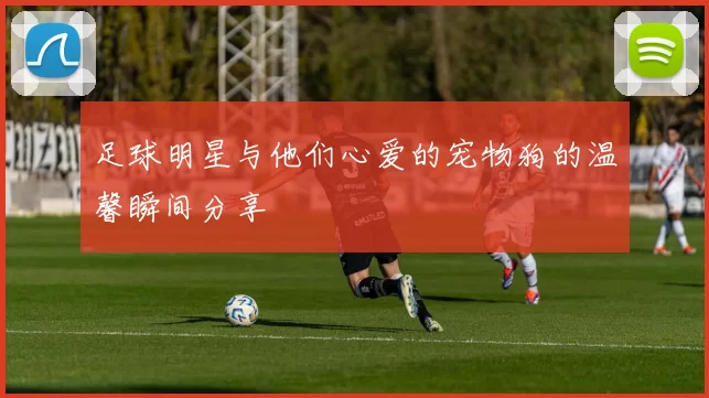 足球明星与他们心爱的宠物狗的温馨瞬间分享