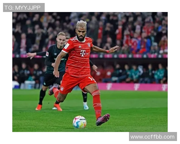 世界杯热潮再起：全球焦点赛事背后的历史、文化与未来趋势解析