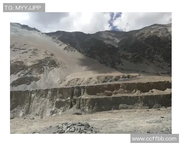 深度对话：探索陈娜在和平精英中的成长与挑战之路