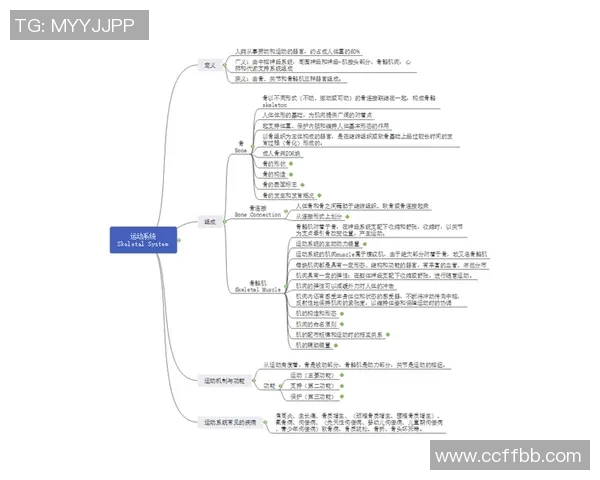 竞技运动在现代社会中的发展趋势与影响力分析：从竞技精神到全民健身的转变