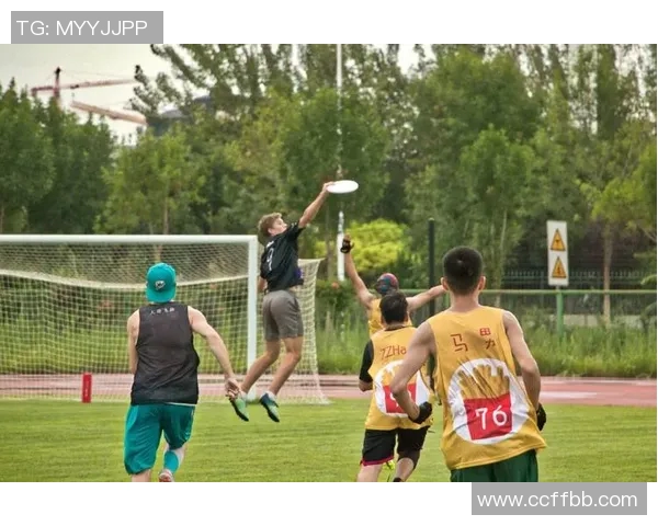 飞盘竞技新风潮：深入解析武汉飞盘队的战术与训练秘诀